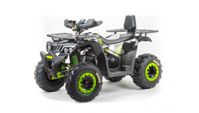 купить Квадроцикл BISON Track LUX в Москве - фото 