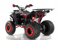 купить Квадроцикл WELS EVO X2 в Москве - фото 