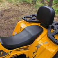 купить Квадроцикл MOTOLAND 200 Wild Track X в Москве - фото 