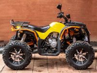 купить Квадроцикл ZONGSHEN Tundra 4X4 LUX в Москве - фото 