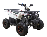 купить Квадроцикл AVANTIS Hunter 7 New Lux в Москве - фото 