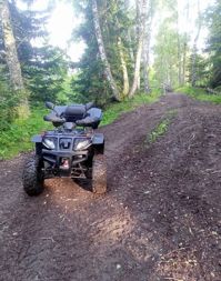 купить Квадроцикл GRIZZLY 250 Б/У в Москве - фото 