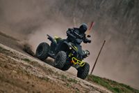 купить Квадроцикл TGB Target 600 EPS  (ПСМ) в Москве - фото 