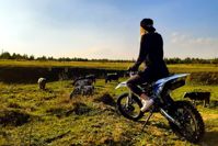 купить Мотоцикл SSSR Core SA PITBIKE в Москве - фото 