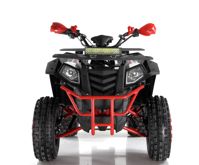 купить Квадроцикл WELS ATV Thunder 200 Evo X в Москве - фото 