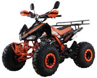 купить Квадроцикл MOTAX ATV T-Rex Super LUX 125 cc в Москве - фото 