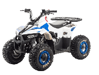 купить Квадроцикл MOTOLAND 110 Eagle (2021 Г.) в Москве - фото 