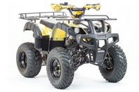 купить Квадроцикл MOTOLAND 250 Adventure (2021 Г.) в Москве - фото 