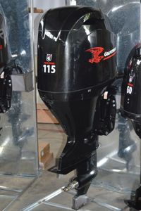 купить 4х-тактный лодочный мотор GOLFSTREAM F115FEX-T EFI в Москве - фото 