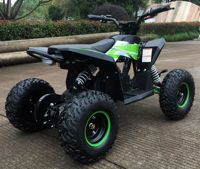 купить Электроквадроцикл MOTAX GEKKON 1300W в Москве - фото 