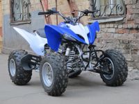 купить Квадроцикл ATV Pantera 150 CVT в Москве - фото 