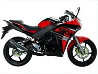 купить Мотоцикл RACER Skyway RC300CS ENDURO в Москве - фото 