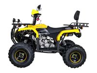 купить Квадроцикл AVANTIS Patriot Lux в Москве - фото 