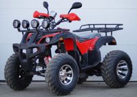 купить Квадроцикл STALKER 250 Lux в Москве - фото 