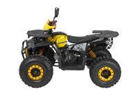 купить Квадроцикл AVANTIS Optima 8 Lux в Москве - фото 