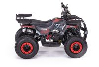 купить Квадроцикл MOTAX Grizlik X16 (PS) в Москве - фото 