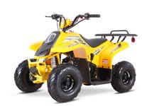 купить Квадроцикл SHARMAX 130 Cross в Москве - фото 