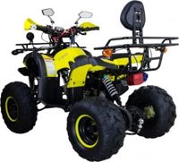 купить Квадроцикл AVANTIS Hunter 8M Lux 125 2017 в Москве - фото 