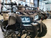 купить Квадроцикл MOTAX Grizlik T 200 в Москве - фото 