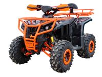 купить Квадроцикл IRIDE Rino Super 125 в Москве - фото 