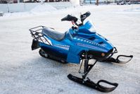 купить Снегоход SHARMAX Landcrafter SN-240 Classic в Москве - фото 