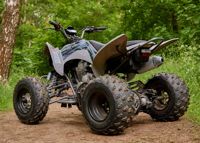 купить Квадроцикл SHARMAX Raizer Race Cup 250 в Москве - фото 