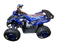 купить Квадроцикл MOTOLAND 125 Coyote Pro в Москве - фото 