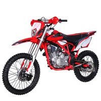 купить Мотоцикл кроссовый эндуро MIKILON Defender 300 в Москве - фото 