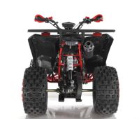 купить Квадроцикл WELS ATV Thunder 200 Evo X в Москве - фото 