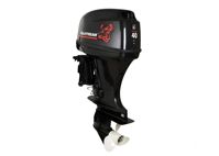 купить 2х-тактный лодочный мотор GOLFSTREAM T 40 FWS-T в Москве - фото 