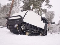 купить Мотобуксировщик BALTMOTORS Snowdog B420 Sport 2021 (реверс) в Москве - фото 