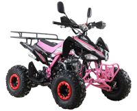 купить Квадроцикл MOTAX ATV T-Rex Super LUX 125 cc в Москве - фото 