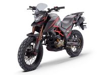 купить Мотоцикл AVANTIS  Tourist 250 4-Valves ПТС (2024) ТУРЭНДУРО в Москве - фото 
