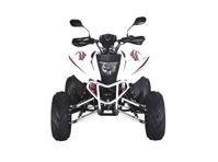 купить Квадроцикл RATO RТ250SТ-2 в Москве - фото 