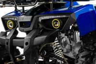 купить Квадроцикл TIGER Extra 175cc (2024) в Москве - фото 