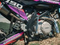 купить Мотоцикл питбайк SHARMAX MOTORS PowerMax 190 MIAMI в Москве - фото 