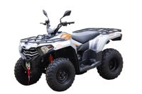 купить Квадроцикл LONCIN TRV350 Pro 22 в Москве - фото 