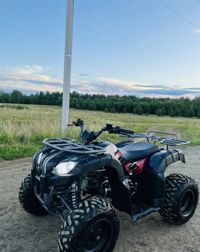 купить Квадроцикл IRIDE WOLF 200 Б/У в Москве - фото 