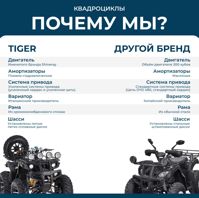 купить Квадроцикл TIGER Max Grade 300 в Москве - фото 
