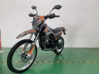 купить Мотоцикл JHL SX175 LX162FMJ PITBIKE в Москве - фото 