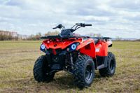 купить Квадроцикл SHARMAX Hummer 300 в Москве - фото 