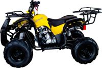 купить Квадроцикл AVANTIS Hunter 7 LITE в Москве - фото 