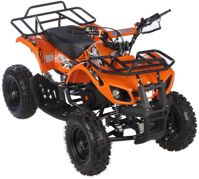 купить Квадроцикл MOTAX ATV Mini Grizlik X-16 в Москве - фото 