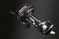 купить 2х-тактный лодочный мотор YAMER 30 FHS в Москве - фото 