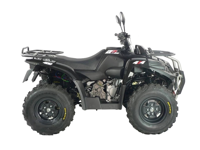 купить Квадроцикл ACCESS AMX400 в Москве - фото 