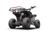 купить Квадроцикл RAPTOR 150 Universal в Москве - фото 