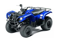 купить Квадроцикл GRIZZLY 125 в Москве - фото 