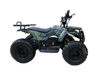 купить Электроквадроцикл MOTAX Grizlik X16 New E1000 Big Wheel в Москве - фото 