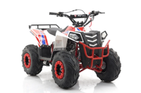 купить Квадроцикл MOTAX Grizlik A110 в Москве - фото 