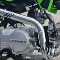 купить Мотоцикл MOTOLAND GS Motors S12 17/14 PITBIKE в Москве - фото 